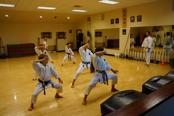 Junior Karate Classes